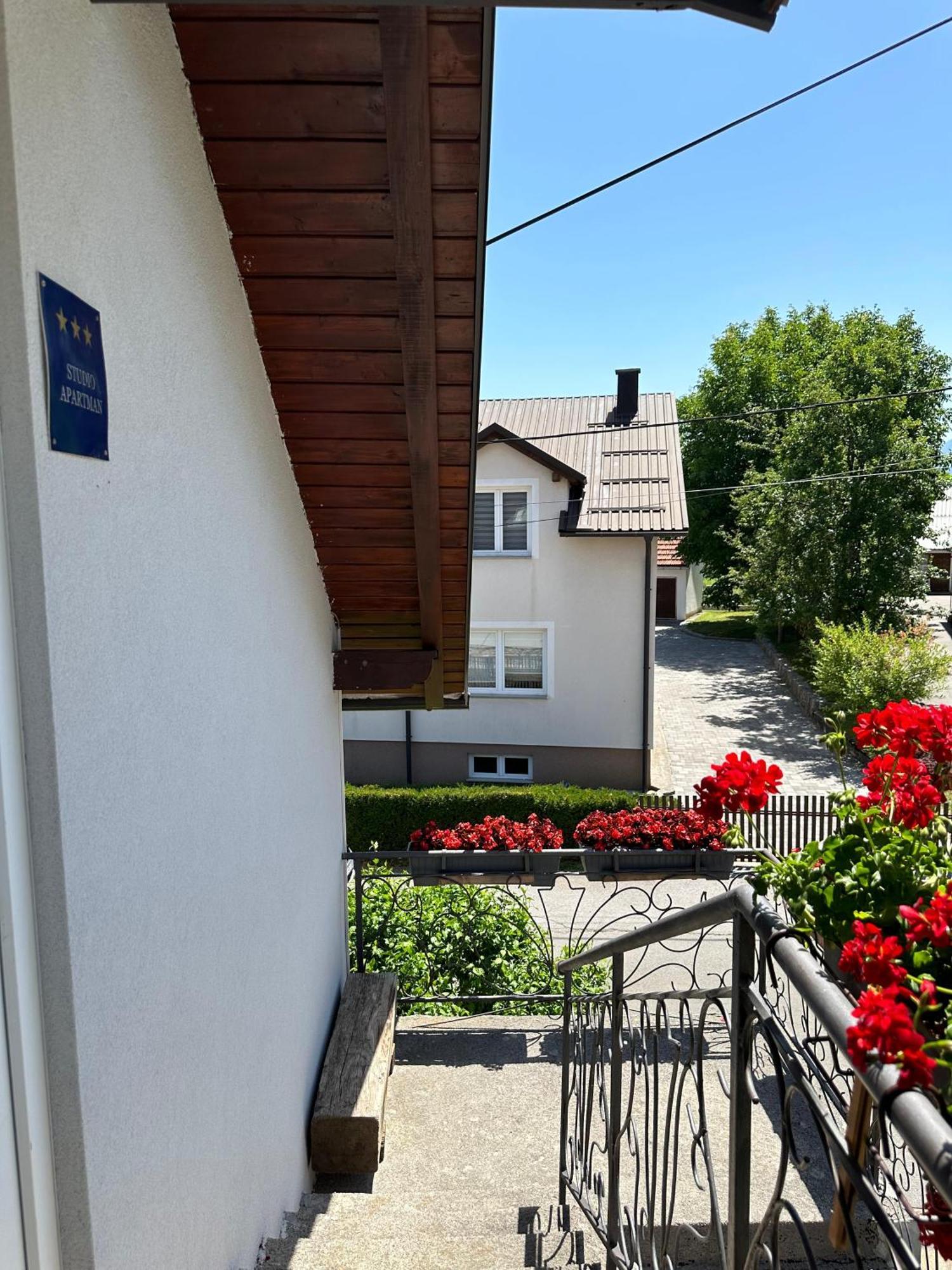 Masenka Apartment Gospic Bagian luar foto